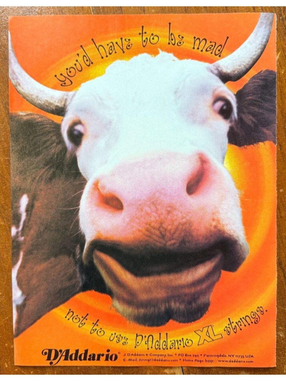 Vintage 1998 D'Addario Strings Cow Face Guitar Magazine Advertisement Print Ad
